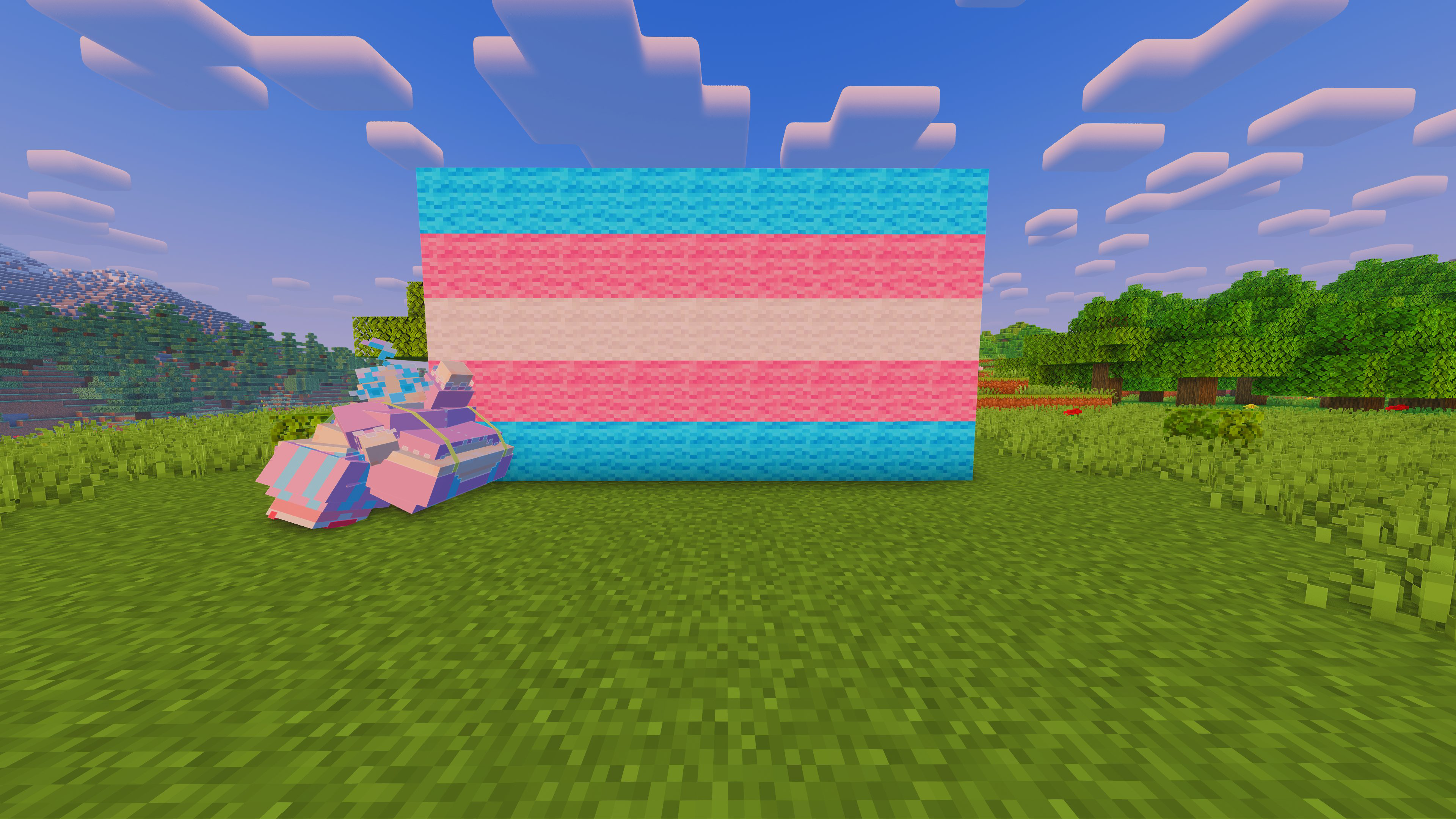 Clownsona showing you the trans flag she built